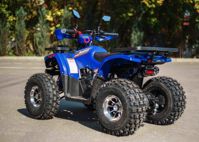 купить Квадроцикл AVANTIS Hunter 8 New Premium в Москве - фото 