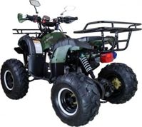 купить Квадроцикл AVANTIS Hunter 8+ 125 2018 в Москве - фото 