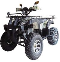 купить Квадроцикл WELS Thunder 200 Lux в Москве - фото 