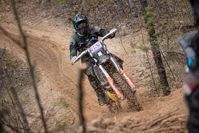 купить Мотоцикл AVANTIS 12-50E PITBIKE в Москве - фото 