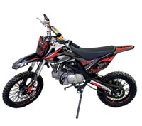 купить Мотоцикл BIZON Falcon 125 17/14 PITBIKE в Москве - фото 
