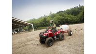 купить Квадроцикл YAMAHA Grizzly 300 (Replika Yamaha) в Москве - фото 