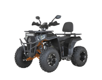 купить Квадроцикл DAZZLE ATV200 Lux в Москве - фото 