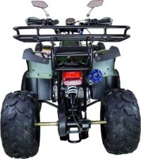 купить Квадроцикл AVANTIS Hunter 8+ 125 2018 в Москве - фото 