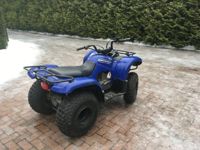 купить Квадроцикл GRIZZLY 125 в Москве - фото 