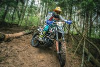 купить Мотоцикл AVANTIS 12-50E PITBIKE в Москве - фото 