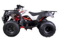 купить Квадроцикл KAYO AU150 в Москве - фото 