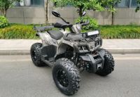 купить Квадроцикл MOTAX ATV Grizlik T200 Lux Б/У в Москве - фото 