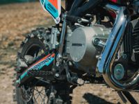 купить Мотоцикл питбайк SHARMAX MOTORS PowerMax 145 MIAMI в Москве - фото 