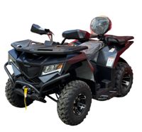 купить Квадроцикл APOLLO CyberRoamer 250 Max (2025) в Москве - фото 