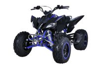 купить Квадроцикл MIKILON Rapide 200 EFI в Москве - фото 