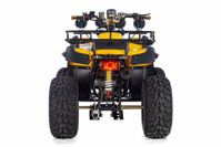 купить Квадроцикл TIGER Sport 250 (2024) в Москве - фото 