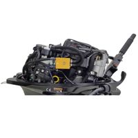 купить 4х-тактный лодочный мотор PARSUN F9.9ABMS-EFI в Москве - фото 