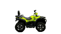 купить Квадроцикл BISON 330L в Москве - фото 