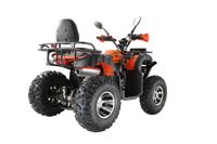 купить Квадроцикл YACOTA Sela 200 Max в Москве - фото 