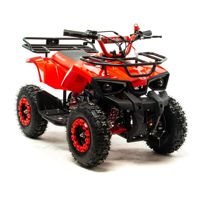 купить Квадроцикл MOTOLAND 50 Scorpion (2021 Г.) в Москве - фото 