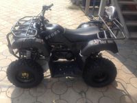 купить Квадроцикл ATV Beorn 200 в Москве - фото 