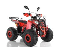 купить Квадроцикл RAPTOR R8 в Москве - фото 