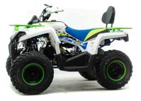 купить Квадроцикл MOTOLAND 200 Shark (2021 Г.) в Москве - фото 