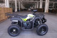 купить Квадроцикл ATV Jaeger 200 в Москве - фото 