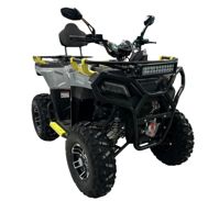 купить Квадроцикл MIKILON 200A Hammer в Москве - фото 
