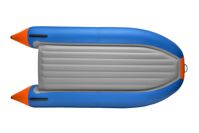 купить Лодка ПВХ РОДЖЕР Zefir Trofey 3100 в Москве - фото 