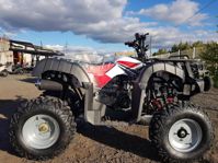 купить Квадроцикл YACOTA Sela 150 в Москве - фото 