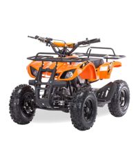 купить Квадроцикл MOTAX ATV Mini Grizlik X-16 Big Wheel (м/с) в Москве - фото 