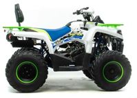 купить Квадроцикл MOTOLAND 200 Shark (2021 Г.) в Москве - фото 