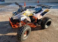 купить Квадроцикл SHARMAX Cross 190 (2024) в Москве - фото 