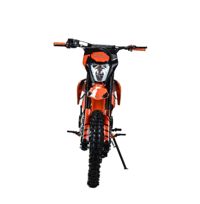 купить Мотоцикл MOTOLAND SX125E 17/14 PITBIKE в Москве - фото 