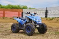 купить Квадроцикл SHARMAX Cross 180 RX в Москве - фото 