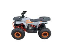 купить Квадроцикл MOTORHEAD Starstruck 125 в Москве - фото 