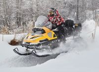 купить Снегоход СТЕЛС Viking S600 ST2.0 в Москве - фото 