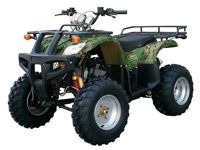 купить Квадроцикл ABM Apache 200 в Москве - фото 