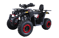 купить Квадроцикл HUNTER 250 в Москве - фото 