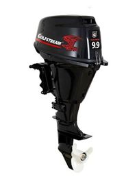 купить 4х-тактный лодочный мотор GOLFSTREAM F 9.9AFWS-EFI Enduro в Москве - фото 