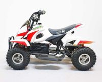 купить Электроквадроцикл GREEN CAMEL Гоби K12 в Москве - фото 