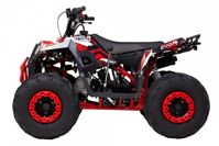 купить Квадроцикл WELS Thunder EVO M детский в Москве - фото 