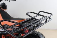 купить Квадроцикл MOTAX ATV T-Rex Super LUX 50 cc в Москве - фото 