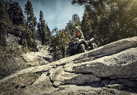 купить Квадроцикл BRUTE FORCE 750 4X4I EPS Camo (ПСМ) в Москве - фото 