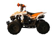 купить Квадроцикл RACER RC 110 Coyote в Москве - фото 