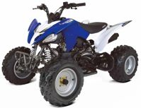 купить Квадроцикл ABM Scorpion 250 в Москве - фото 