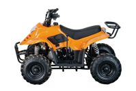 купить Квадроцикл STALKER 110 в Москве - фото 