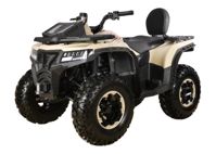 купить Квадроцикл APAKANI Ironhide 300 LD в Москве - фото 