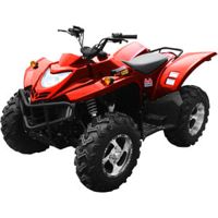 купить Квадроцикл NISSAMARAN Blast 500 в Москве - фото 