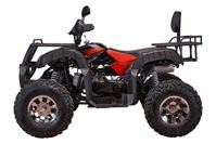 купить Квадроцикл YACOTA Sela 200 Pro в Москве - фото 