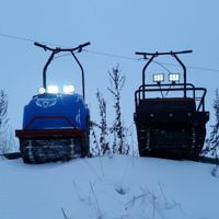 купить Мотобуксировщик MOTODOG 500 (9 л.с. задний привод) в Москве - фото 