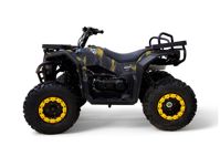 купить Квадроцикл MOTAX Grizlik W200 в Москве - фото 