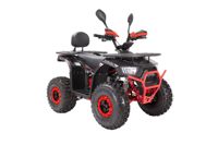 купить Квадроцикл YACOTA Sirius 125 в Москве - фото 